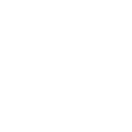 New AI courses